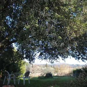 Fattoria Di Malavolta Italia